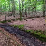 Sonnenteich-haus By Interhome *