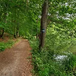 Sonnenteich-haus By Interhome *