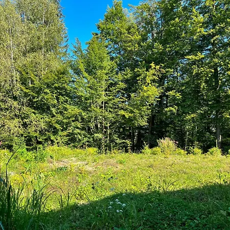 Sonnenteich-haus By Interhome 펜션