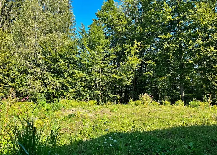 Sonnenteich-haus By Interhome Ferienhaus