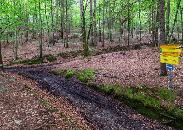 Sonnenteich-haus By Interhome *